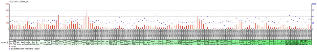 Packet Chart